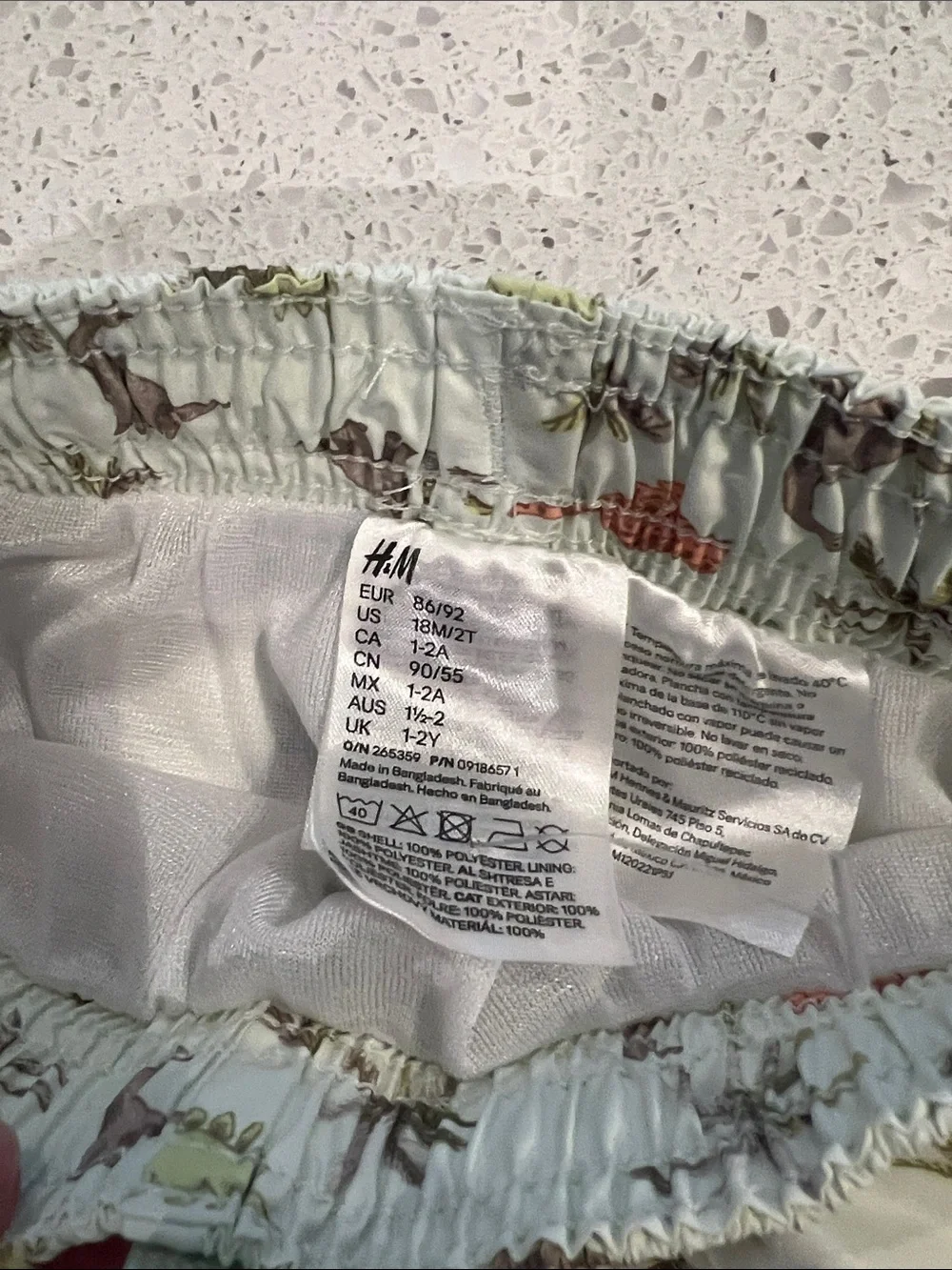 H&M Light Mint Swim Trunks with Dino & Palm Print